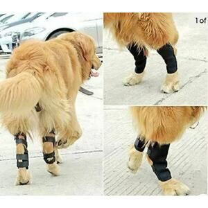 Joonem Canine Front Leg Wrap Support Brace Size L/XL Adjustable Strap New